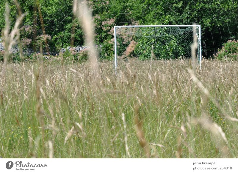 Where's Theodor? Sports Ball sports Soccer Sporting Complex Football pitch Environment Plant Tree Grass Garden Park Meadow Blossoming Playing Growth Wild Green