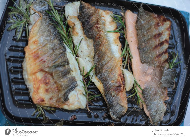 Fish Pan Rosemary Herbs and spices salmon trout Lunch Dinner Roasted BBQ Aromatic Eating Delicious Colour photo Exterior shot Day Bird's-eye view