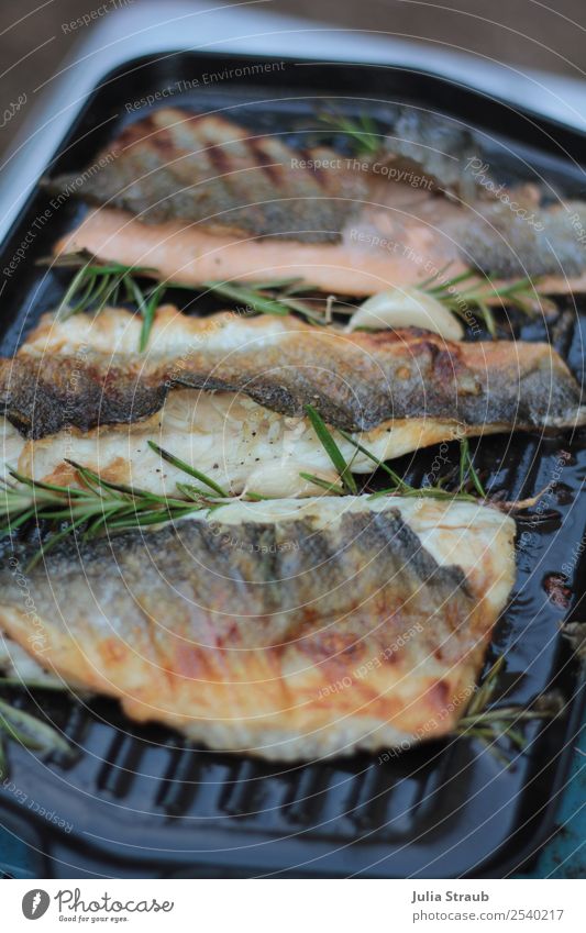 Fried fish fillet on cast iron pan Fish Rosemary Clove of garlic Pan Cast iron Delicious Juicy Black Crisp Eating Cooking Frying Colour photo Exterior shot Day