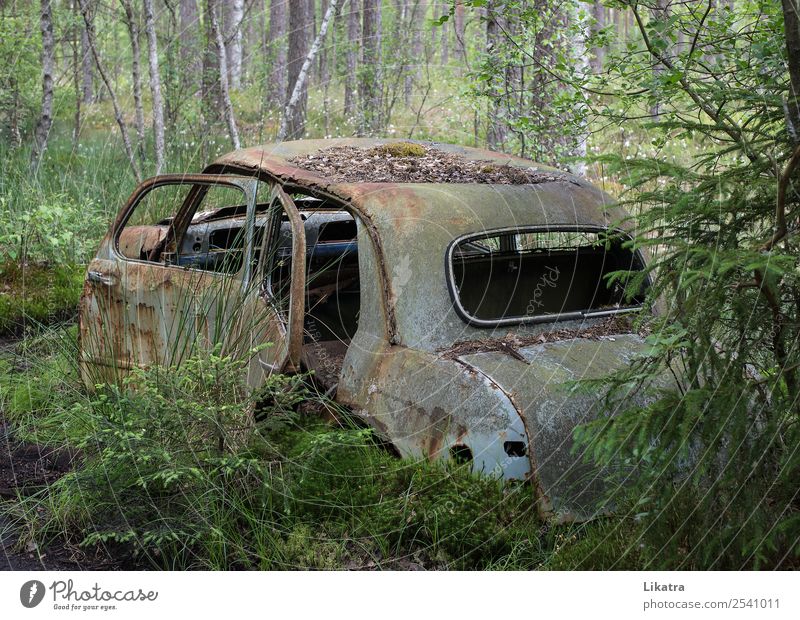 Car cemetery 1 Environment Summer Forest Vintage car Steel Rust Old Historic Original Retro Gray Green Moody Calm Authentic Sadness Transience Uniqueness