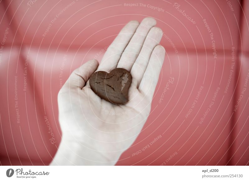 Heart on hand Food Dough Baked goods Chocolate Nutrition Human being Masculine Hand 1 To hold on Sweet Brown Red Happy Joie de vivre (Vitality) Love Rich