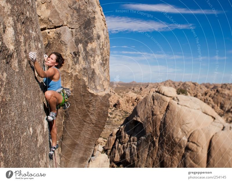 Female rock climber clinging to a cliff. Adventure Sports Climbing Mountaineering Success Rope Young woman Youth (Young adults) 1 Human being 18 - 30 years