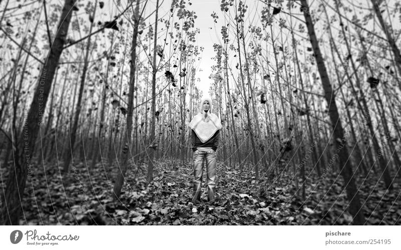Stand up, I'll take a picture. Young woman Youth (Young adults) Nature Tree Forest Wait Calm Black & white photo Exterior shot Day Blur Wide angle