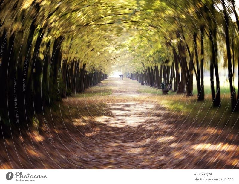 Autumn avenue. Art Esthetic Contentment Nature To go for a walk Autumn leaves Autumnal Early fall Autumnal colours Autumnal weather Automn wood