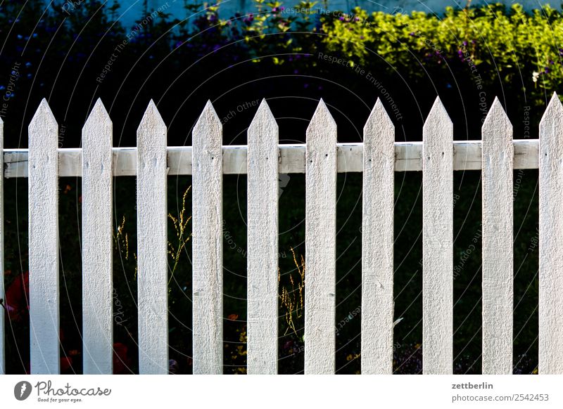 fence Fence Garden fence Wooden fence pile Fence post Wooden board Neighbor Border Barrier Copy Space Deserted White Curiosity Point