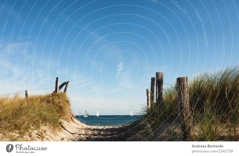 to the beach Relaxation Vacation & Travel Summer Beach Nature Sand Baltic Sea Infinity Lanes & trails Far-off places Germany Background picture baltic