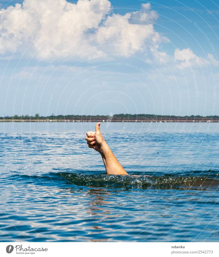 man's hand sticks out of the water Vacation & Travel Summer Ocean Success Swimming & Bathing Man Adults Hand Fingers Nature Sky Movement Good Blue White Joy