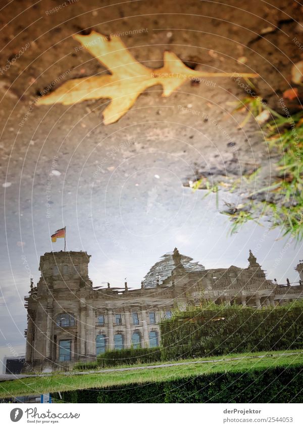 Reichstag in the reflection of a puddle metropolis Freedom City Berlin center Panorama (View) Sunbeam urban Beautiful weather City life Sunlight Light