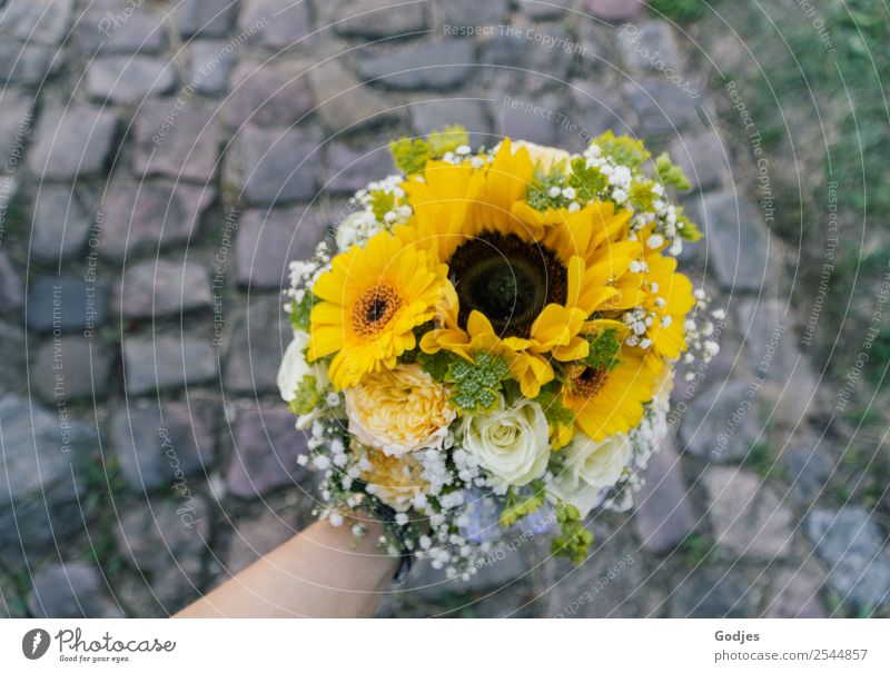 bridal bouquet Human being Arm 1 30 - 45 years Adults Nature Plant Summer Autumn Rose Leaf Blossom Sunflower Gerbera To hold on Looking Happiness Natural Brown
