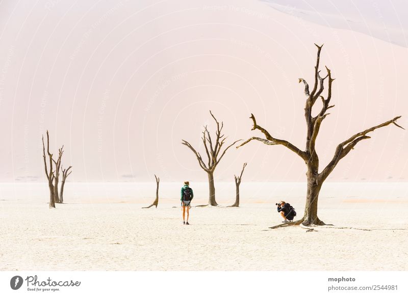 Tourists in Deadvlei Vacation & Travel Tourism Trip Adventure Far-off places Safari Human being 2 Environment Nature Landscape Sand Weather Bad weather Wind