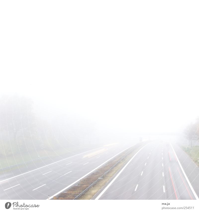 Dense fog over the photocase land Transport Traffic infrastructure Highway Brown Gray Green White Movement Colour photo Subdued colour Exterior shot Dawn