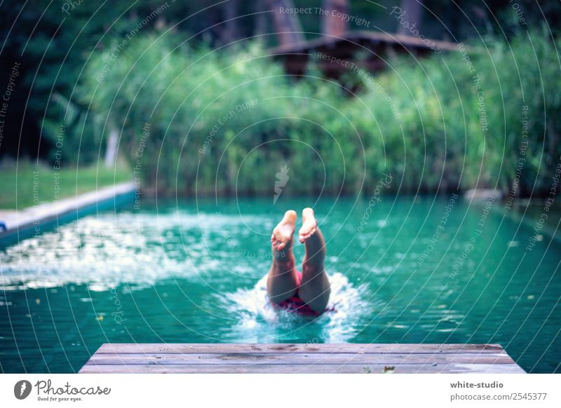 cooling down Woman Adults Swimming & Bathing Nature Swimming pool natural pool natural pools Common Reed Jump jump in the water Bathtub Headfirst dive