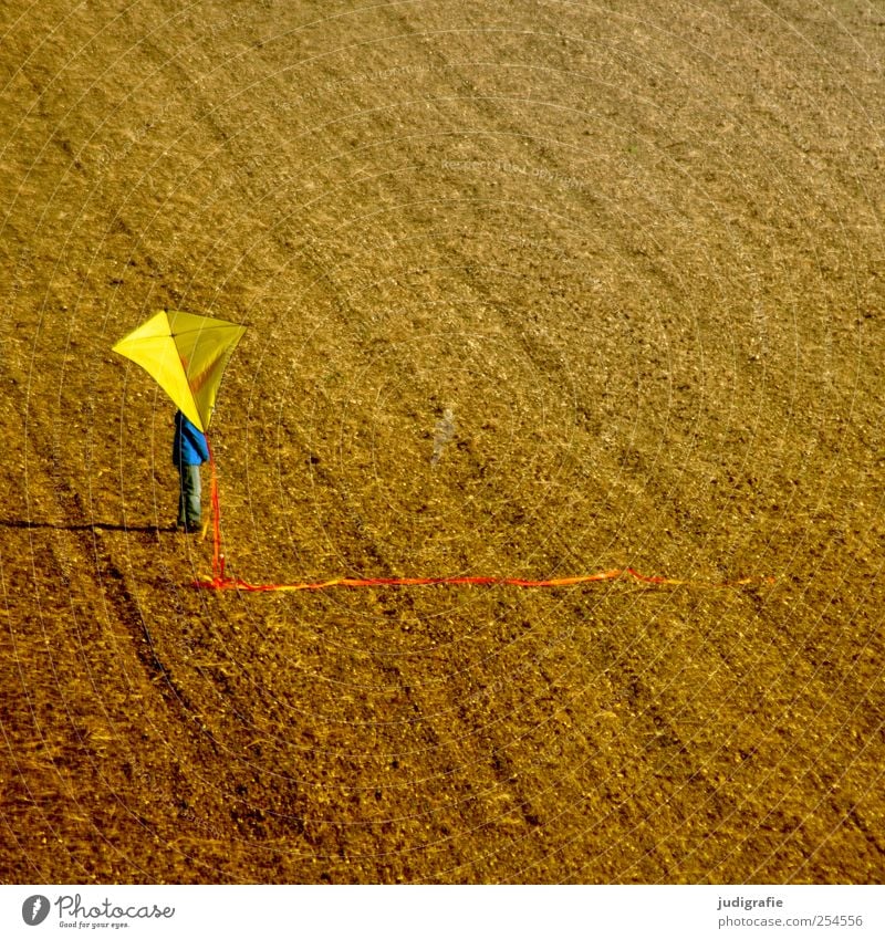autumn Leisure and hobbies Playing Human being Child 1 Autumn Toys Stand Yellow Kite Field Earth Colour photo Multicoloured Exterior shot Day