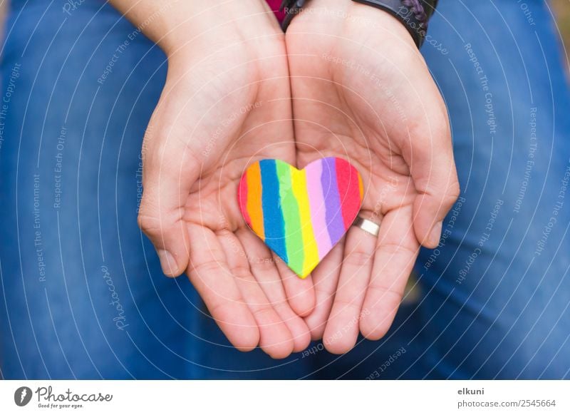 Hands showing a rainbow heart sharped Business Human being Homosexual Fingers Heart Love Red White care Gift valentine Hold Rainbow lgbt bisexual pride