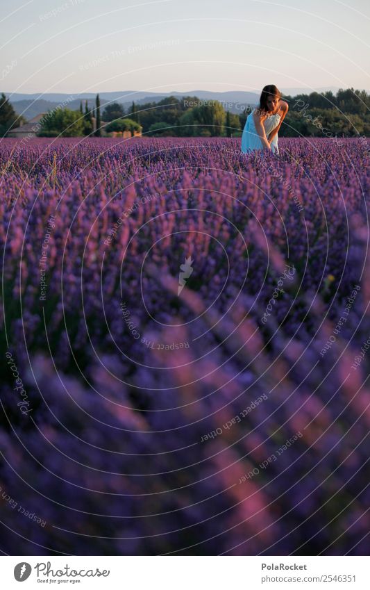#A# Lavender picker Environment Nature Landscape Esthetic Provence France Violet Lavender field Woman Colour photo Multicoloured Exterior shot Experimental