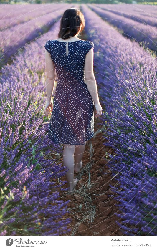 #A# walking away Environment Nature Esthetic France Provence Violet Lavender Lavender field Lavande harvest Dress Girl Woman Idyll Girlish Delicate Discover