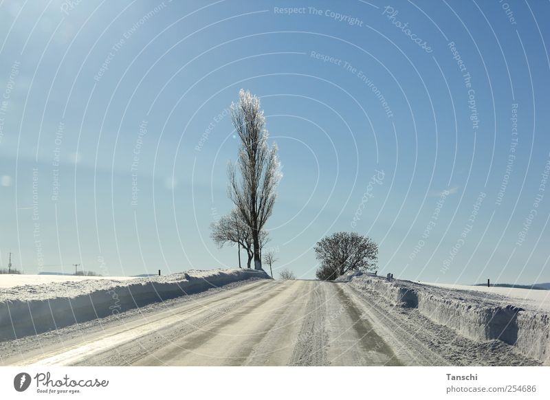 contrasts Landscape Sunlight Winter Beautiful weather Ice Frost Snow Tree Field Deserted Street Driving Cold Serene Horizon Colour photo Exterior shot Day