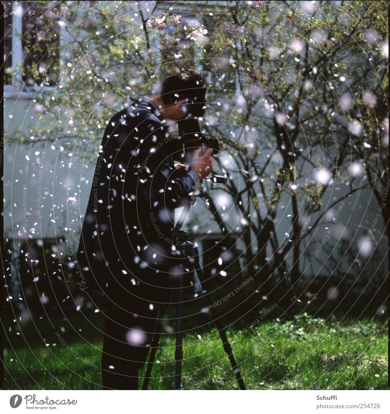 Daniel in the rain Human being Masculine 1 Nature Plant Spring Beautiful weather Tree Blossom Exceptional Pink Joy Happy Friendship Take a photo Colour photo
