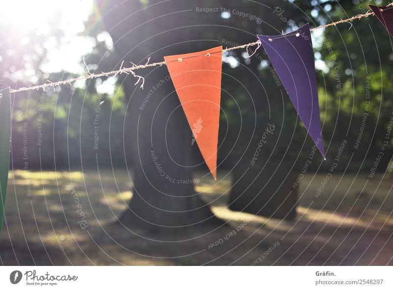 summer atmosphere Lifestyle Leisure and hobbies Summer Sun Party Landscape Sunlight Park Meadow Flag Hang Illuminate Happiness Kitsch Brown Green Violet Orange