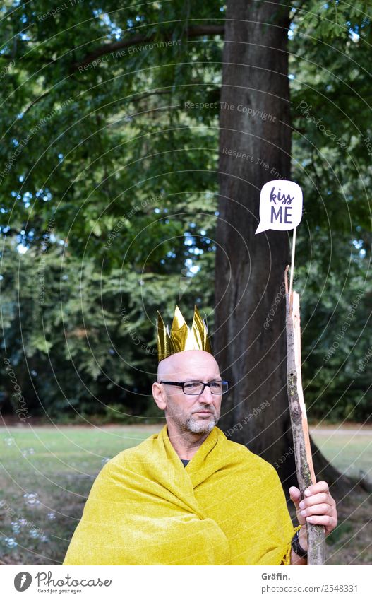 Man sits in the park in a king's costume Playing Dress up Masculine Adults 1 Human being 30 - 45 years Landscape tree Park Meadow Crown Signs and labeling Sit