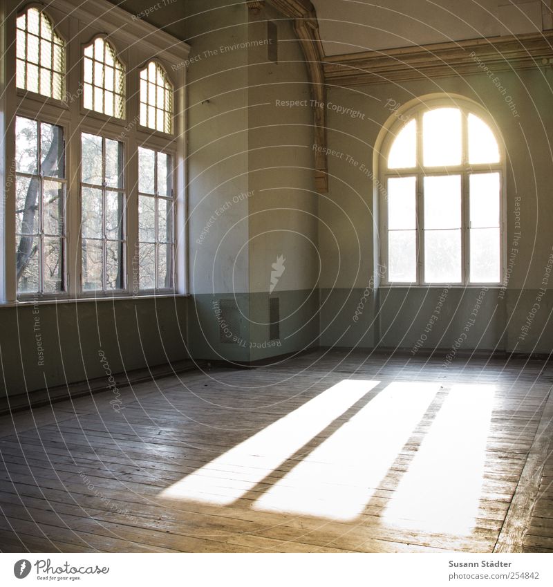 free space. Living or residing Generous Loft Free space Hall Wooden floor Floorboards Window Visual spectacle Flare Old building ballroom Colour photo