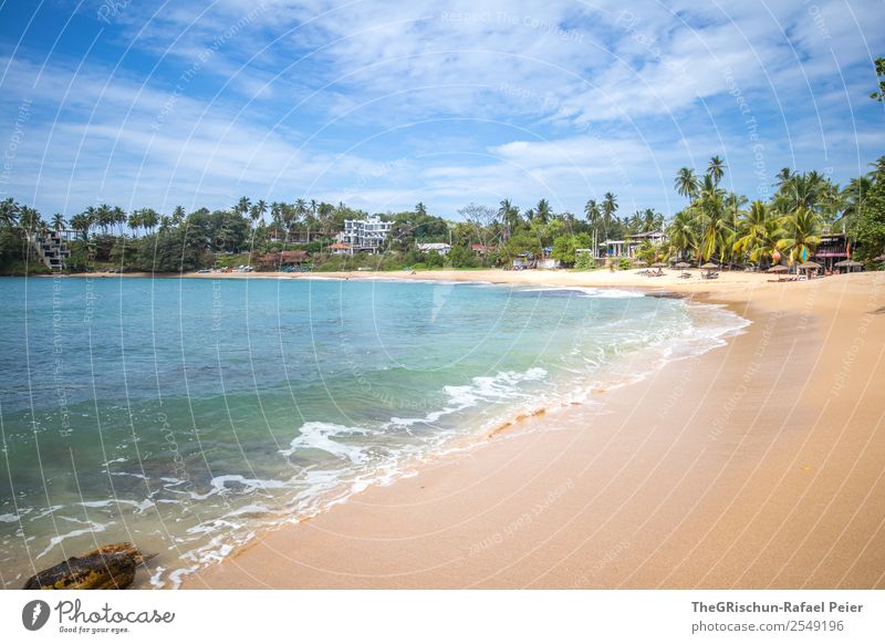 beach Nature Blue Brown Turquoise White Sandy beach Vacation & Travel Sri Lanka Ocean Relaxation Swimming & Bathing Palm tree Clouds White crest Colour photo