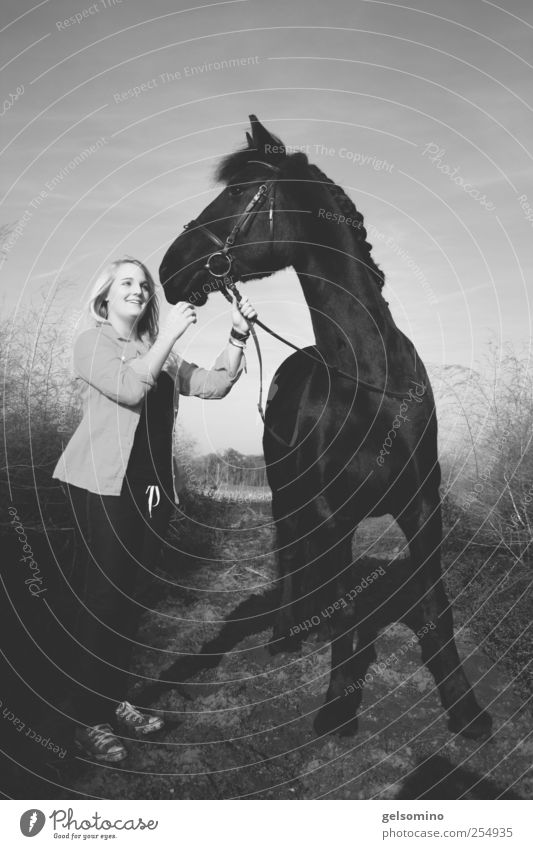 Hold on tight Ride Feminine Young woman Youth (Young adults) 1 Human being Beautiful weather Field Horse Observe Touch Discover To hold on Stand Esthetic