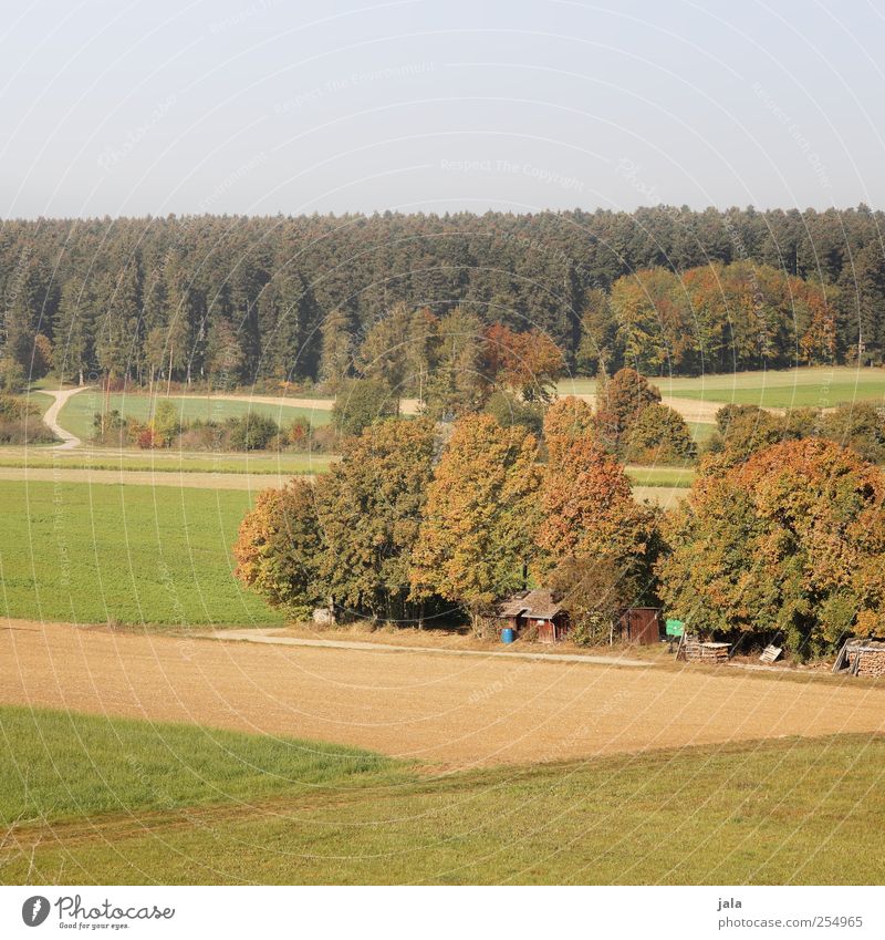 CHAMANSÜLZ | countries Environment Nature Landscape Plant Sky Autumn Tree Field Forest Natural Colour photo Exterior shot Deserted Copy Space top Day