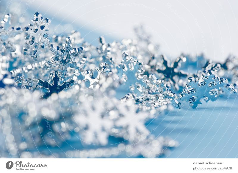 Christmas card - indoor Living or residing Decoration Christmas & Advent Crystal Bright Blue Snow crystal Stars Silver Studio shot Detail
