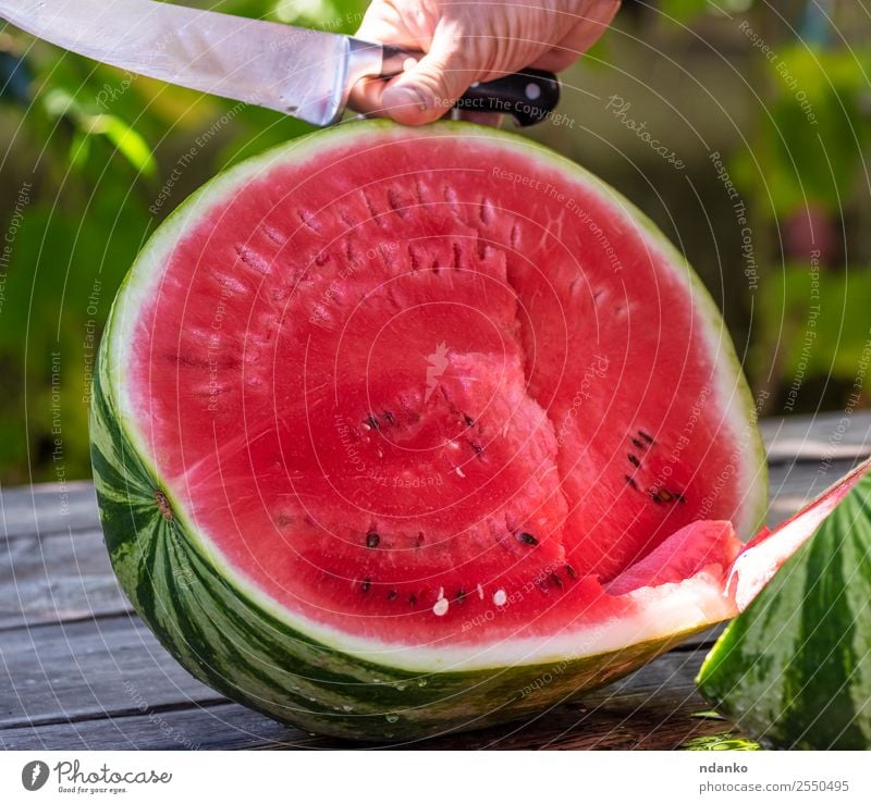 ripe large watermelon Fruit Nutrition Vegetarian diet Diet Summer Hand Nature Fresh Delicious Natural Juicy Green Red Colour Water melon knife Berries Cut eat