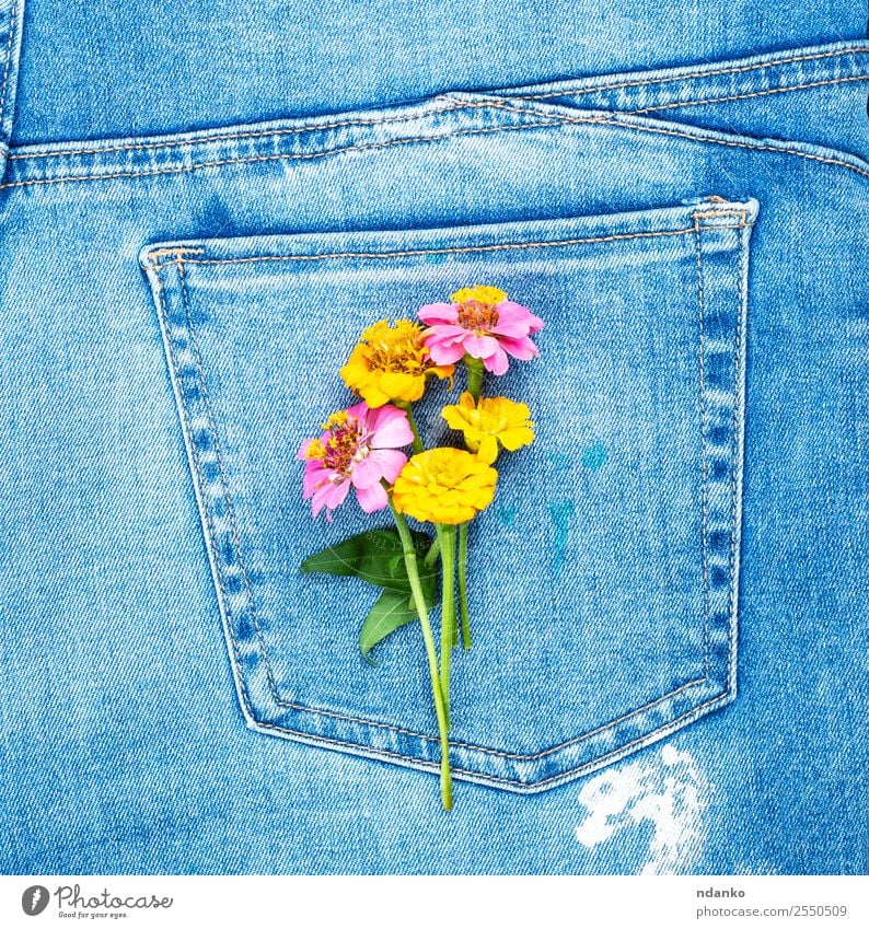 flowers on the back pocket Style Flower Fashion Clothing Jeans Blossoming Blue Yellow Colour Tradition Denim Consistency background casual textile Seam Material