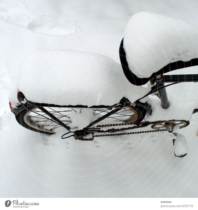 snowmobile Winter Snow Weather Means of transport Bicycle Cold Black White Colour photo Exterior shot Deserted Copy Space bottom Day Deep depth of field