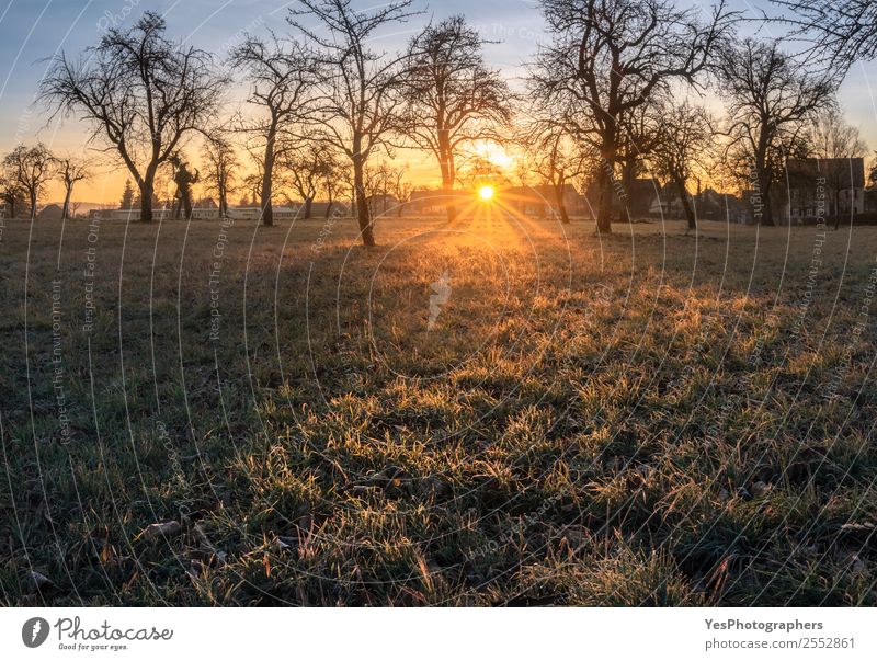 December sunrise over meadow and orchard Beautiful Nature Landscape Weather Beautiful weather Sulzdorf Germany Natural German village Amazing bright sun cold