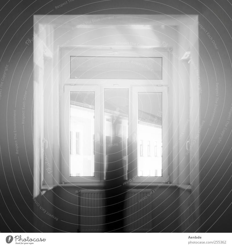 Miss Misery Human being Creepy Fear Ghosts & Spectres  Phenomenon Car Window Black & white photo Interior shot Experimental Night Light Shadow Silhouette