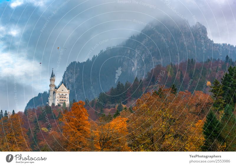 Autumn colored forest in Bavarian Alps Beautiful Vacation & Travel Mountain Nature Landscape Clouds Leaf Forest Füssen Germany Castle Tourist Attraction Natural