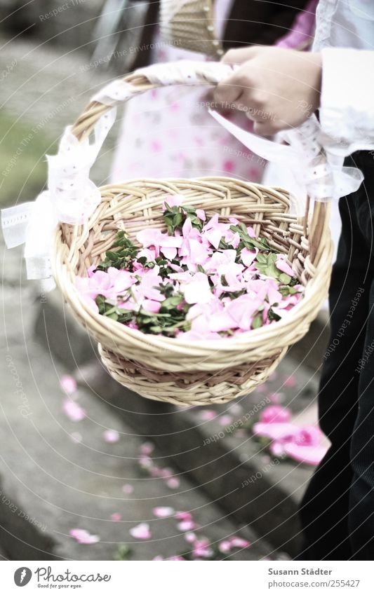For you it's supposed to rain colorful pictures Hand 1 Human being Suit Feasts & Celebrations Wedding Hippie Basket Wickerwork Blossom leave Multicoloured Pink