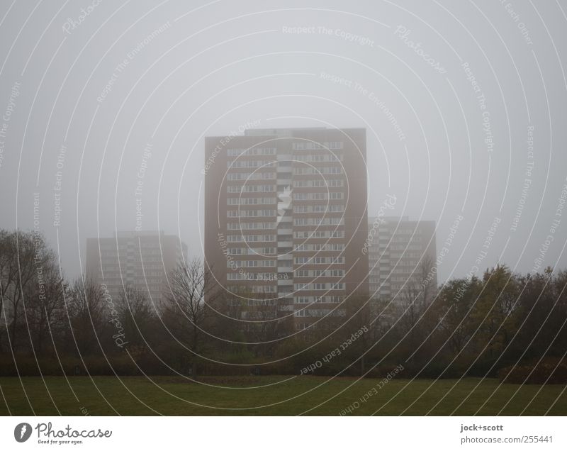 for you it shall rain colourful pictures (in the mist) Sky Bad weather Fog Marzahn Outskirts Tower block Facade Authentic Gloomy Gray Moody Prefab construction
