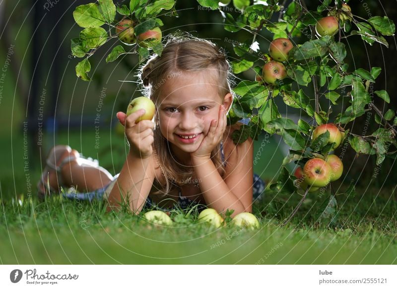 apple girl Food Fruit Apple Nutrition Organic produce Vegetarian diet Happy Healthy Gardening Agriculture Forestry Girl Infancy 1 Human being 3 - 8 years Child