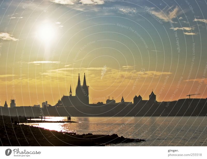 You want it to rain in the sky! Cologne Cologne Cathedral Town Downtown Church Dome Authentic Rhine River bank Low water Beautiful weather Friendliness Autumn