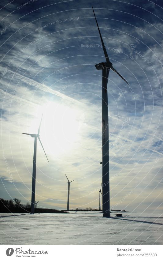 windmills Economy Industry Energy industry Technology Science & Research Advancement Future Renewable energy Wind energy plant Landscape Sky Sun Winter Climate