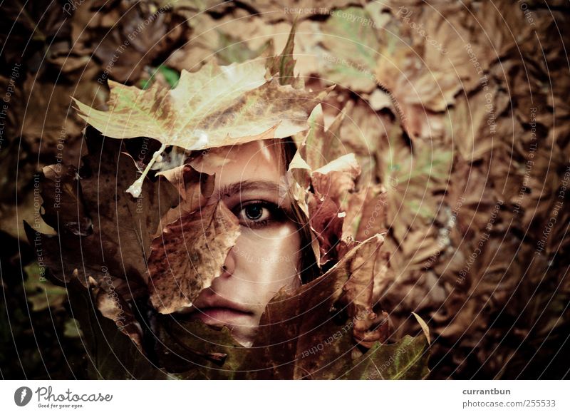 black leaf falls Bouquet Emotions Loneliness Exhaustion Guilty Whimsical Leaf Rachis Leaf green Leaf filament Leaf shade Eyes Woman Covered Colour photo