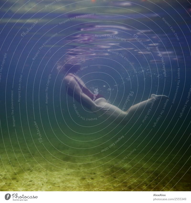 Underwater portrait of a young woman in a swimsuit, who just reappears Lifestyle Style Joy already Athletic Summer Summer vacation Swimming pool