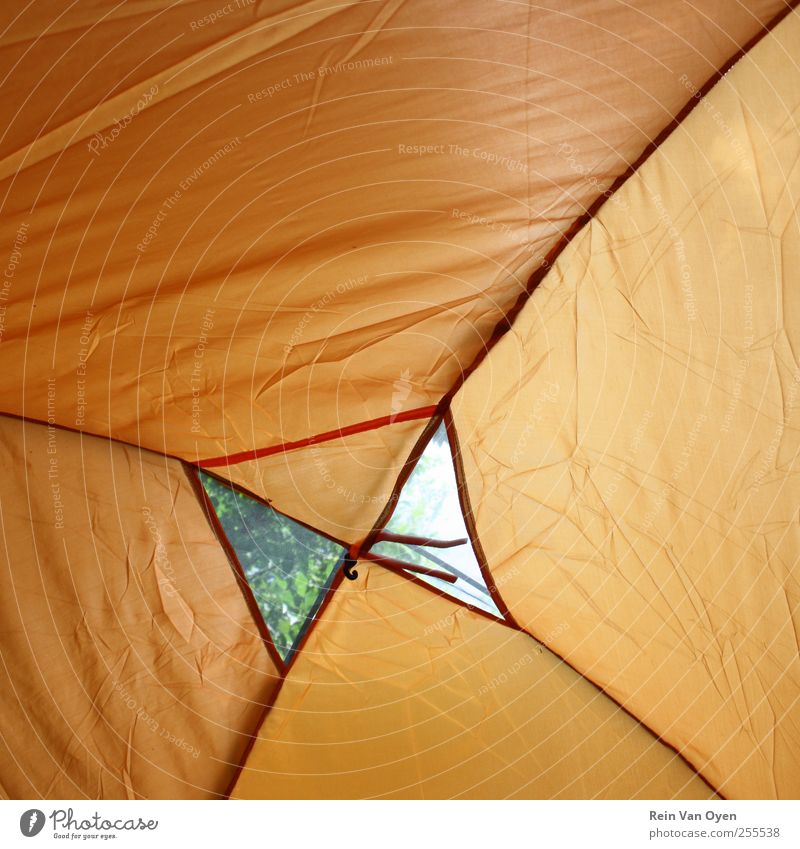 Tent Tent ceiling Tent camp Tent door Camping Camping site Orange Vacation & Travel Plastic Backpacking Backpacking vacation Colour photo Multicoloured