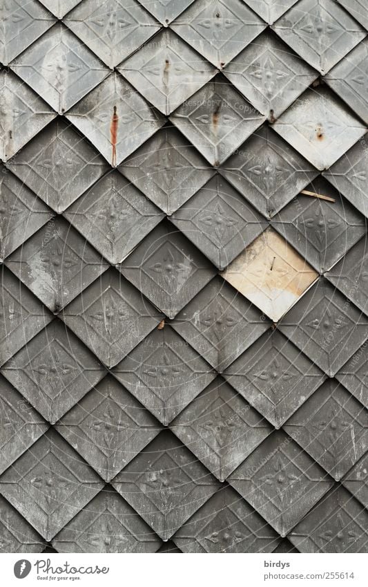 Antique sheet metal shingles Wall (barrier) Wall (building) Old Esthetic Gray Silver Art Nostalgia Style Symmetry Change Wall panelling Line Embossing Many
