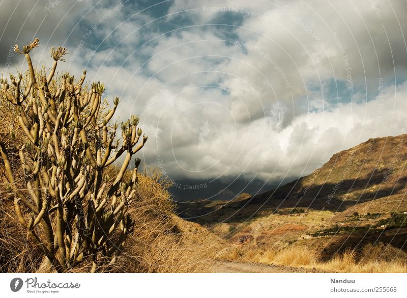 sierra Nature Landscape Infinity Dry Steppe Mountain Gran Canaria Cactus Spain Clouds Dusty Hiking Western Rock Colour photo Subdued colour Exterior shot