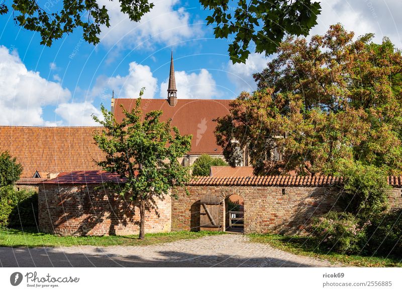 View of the monastery of the Holy Spirit in Rostock Tourism House (Residential Structure) Garden Clouds Tree Town Tower Building Architecture Wall (barrier)