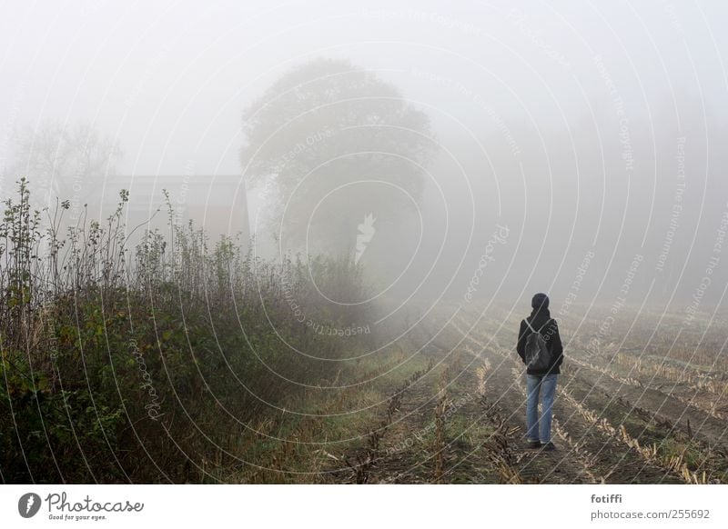 girl, fog, field & tree 1 Human being Nature Landscape Earth Sky Autumn Weather Fog Plant Hedge Field Stand Calm Stopper Sadness Haze Wait Far-off places
