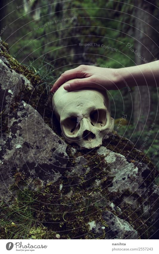 Hand touching a human skull Design Exotic Hallowe'en Death's head 1 Human being Environment Nature Winter Moss Forest Rock Touch Old Dirty Dark Creepy Historic