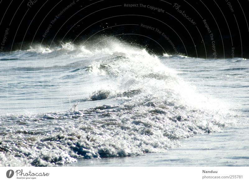 A sea of images Environment Esthetic Ocean Waves Surf Force Energy White crest Water Colour photo Subdued colour Exterior shot
