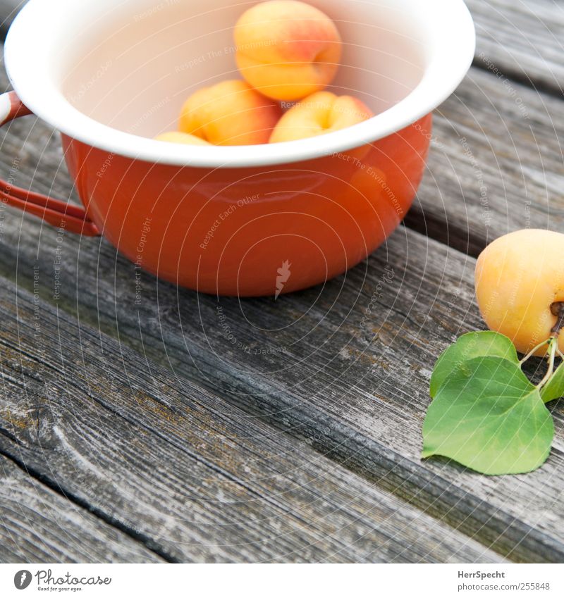 Apricots II Food Fruit Bowl Wood Metal Esthetic Fresh Delicious Yellow To enjoy apricot Vitamin Healthy Eating Wooden floor Colour photo Exterior shot